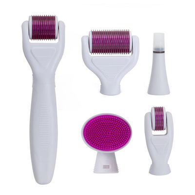 6 в 1 ролике Derma игл нержавеющей стали терапией 12/300/720/1200 кожи Microneedle набора Dermaroller
